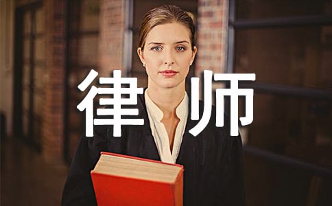 律师个人顶岗实习总结