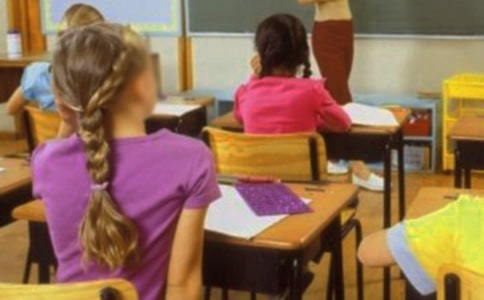 小学生学期的学习总结