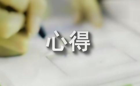 户外拓展训练心得(集锦15篇)