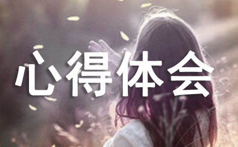 户外拓展心得体会常用(12篇)