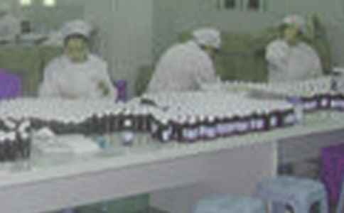 药厂生产实习总结集合8篇