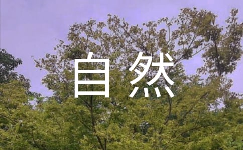 Ȼֺѧϰĵ᷶